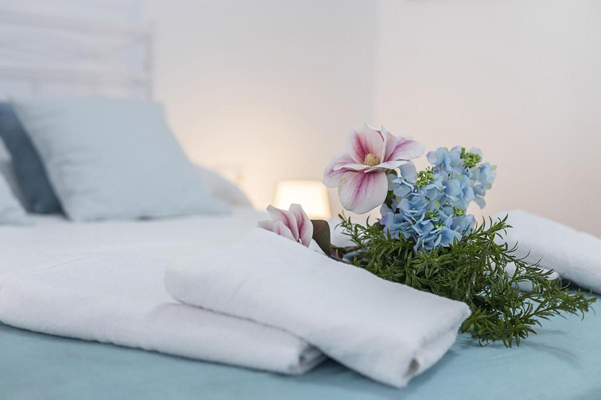 Apartmán San Miguel Terraza Moderno Jerez de la Frontera Exteriér fotografie